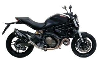 Silencieux Arrow Race Tech Ducati Monster 821