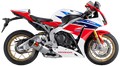 DEMI-LIGNE RACING AKRAPOVIC -HONDA 1000 CBR RR 2014-2016