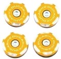 BOUCHONS DE CADRE DUCATI 1199 PANIGALE (TT119902) 