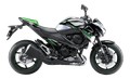 SILENCIEUX ARROW POUR Z 800 E 2013-2016