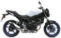 COLLECTEUR RACING ARROW POUR SV 650 2016-2018 (71646MI)