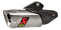 FLASQUE DE PROTECTION CARBONE AKRAPOVIC (P-HSY10L2)