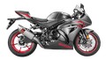 LIGNE AKRAPOVIC TITANE 1000 GSXR 2017-2023 (S-S10E3-APLT)