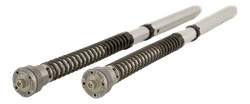KIT CARTOUCHE OHLINS NIX30 DUCATI PANIGALE V4 S / R / V4S SPECIALE (FGK 219)