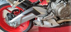 Protection de bras oscillant APRILIA pour RS / TUONO 660 