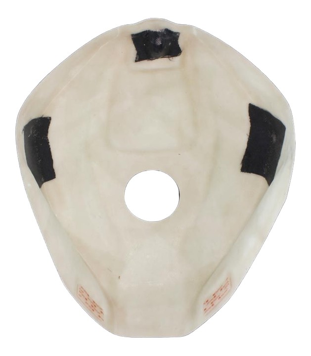 Protection de réservoir CRUCIATA pour RSV4 1100 2021-2022