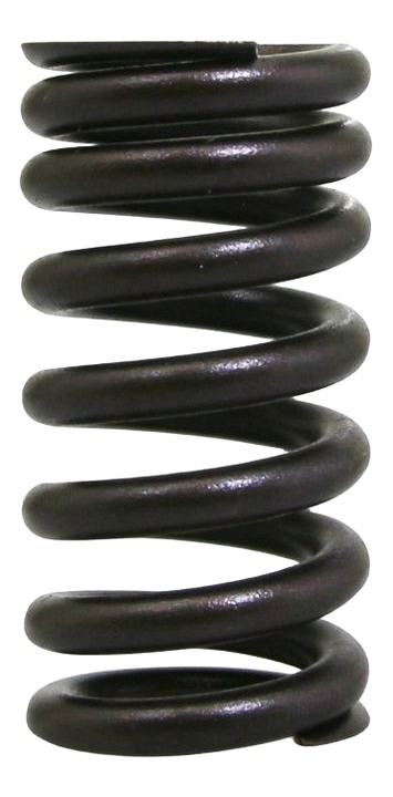 Ressort de soupape d'échappement APRILIA RSV4 17-23 (1A008435)