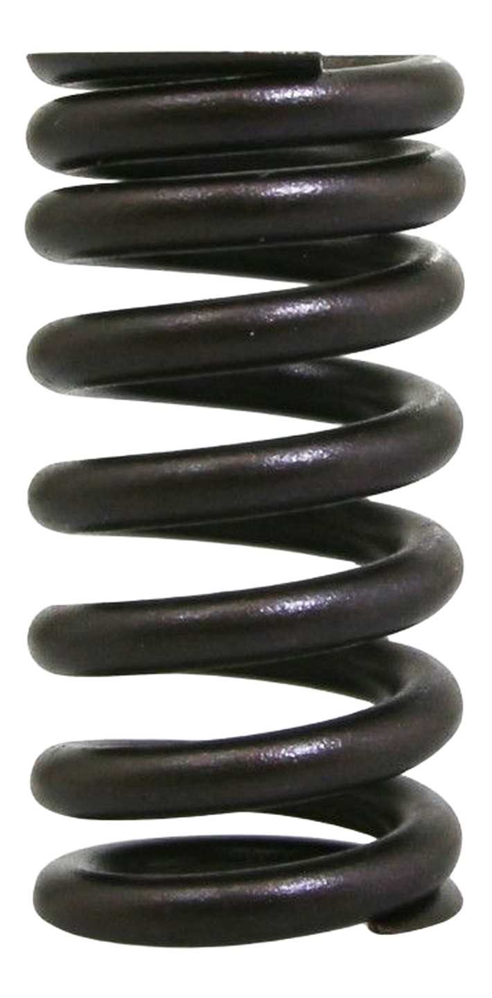 Ressort de soupape d'échappement APRILIA RSV4 17-23 (1A008435)