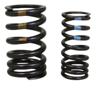 Kit ressorts de soupape d'admission APRILIA 17-23(1A008432)
