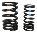 Kit ressorts de soupape d'admission APRILIA 17-23(1A008432)