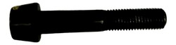 Vis d'etrier de frein RSV4 M10x1.25x55 (2B005564)