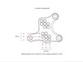 COMMANDES RECULÉES BONAMICI TRIUMPH STREET TRIPLE 765 / R / RS 2023-2025, Moto2 2023-2025 (TH09)