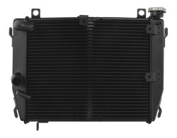 Radiateur d'eau Brazoline pour Aprilia RS660 21-24