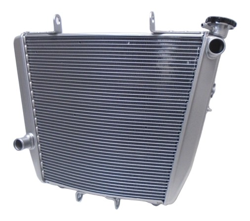 Radiateur eau OEM Aprilia RSV4 2011-2020 (B045753)