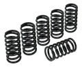 RESSORTS D'EMBRAYAGE H45 CNC RACING BMW S1000 RR 2009-2018 (MO345B)