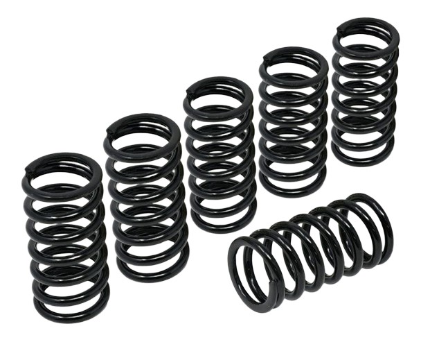RESSORTS D'EMBRAYAGE H45 CNC RACING BMW S1000 RR 2009-2018 (MO345B)