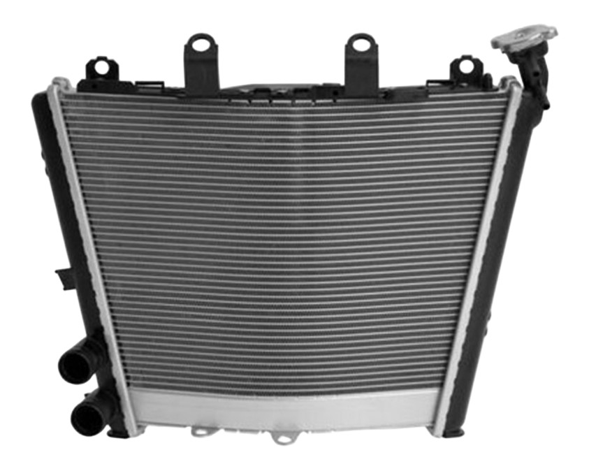 Radiateur d'eau Brazoline pour BMW S1000RR 2019-2022 (RA5060)