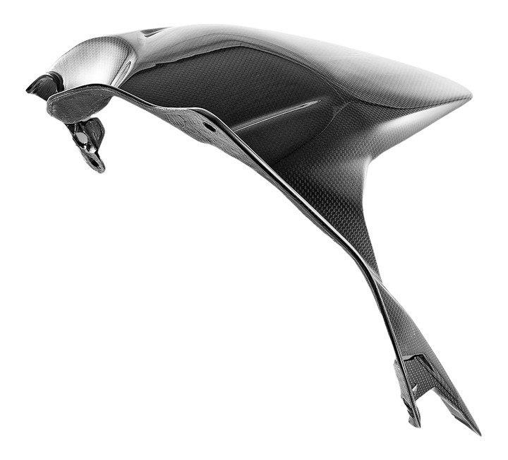 GARDE-BOUE ARRIÈRE EN CARBONE BRILLANT POUR PANIGALE /SF V4 2025 (CRB228L)