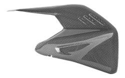PROTECTION DE BRAS OSCILLANT DUCABIKE CARBONE BRILLANT PANIGALE V4 2025-2026 (CRB234L)