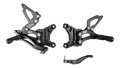 COMMANDES RECULÉES BONAMICI R6 2006-2016 (Y005)