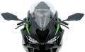 Bulle racing WRS Ducati KAWASAKI ZX-6R 2024-2026