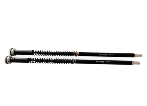 KIT DE CARTOUCHE DE FOURCHE ANDREANI KAWASAKI NINKA ZZ-R 1400 2006-2011 (KAYABA 43)