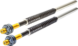 KIT CARTOUCHE