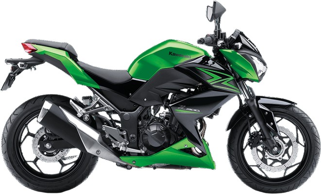 Z300