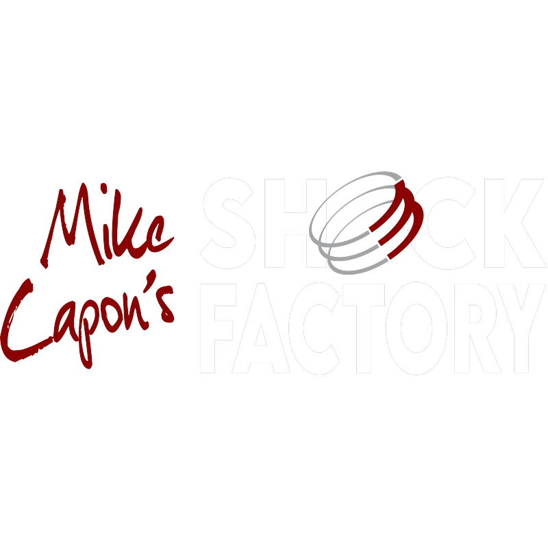 SHOCK FACTORY