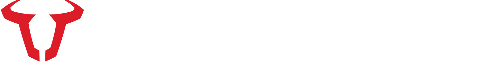 SW-MOTECH