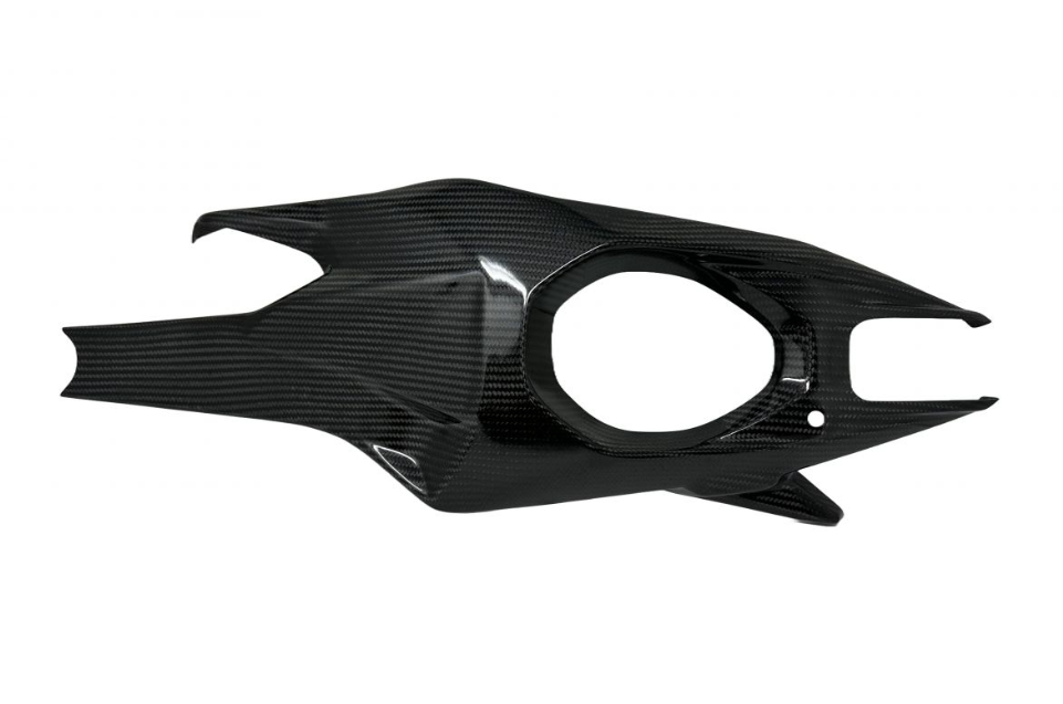 PROTECTION DE BRAS OSCILLANT EXTREME-COMPONENT CARBONE BRILLANT PANIGALE V4 2025 (DUC-V4290)