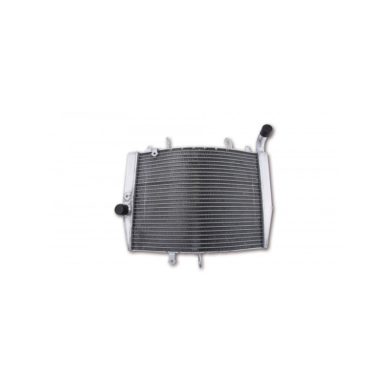 Radiateur d'eau Brazoline pour HONDA CBR600RR 2007-2019
