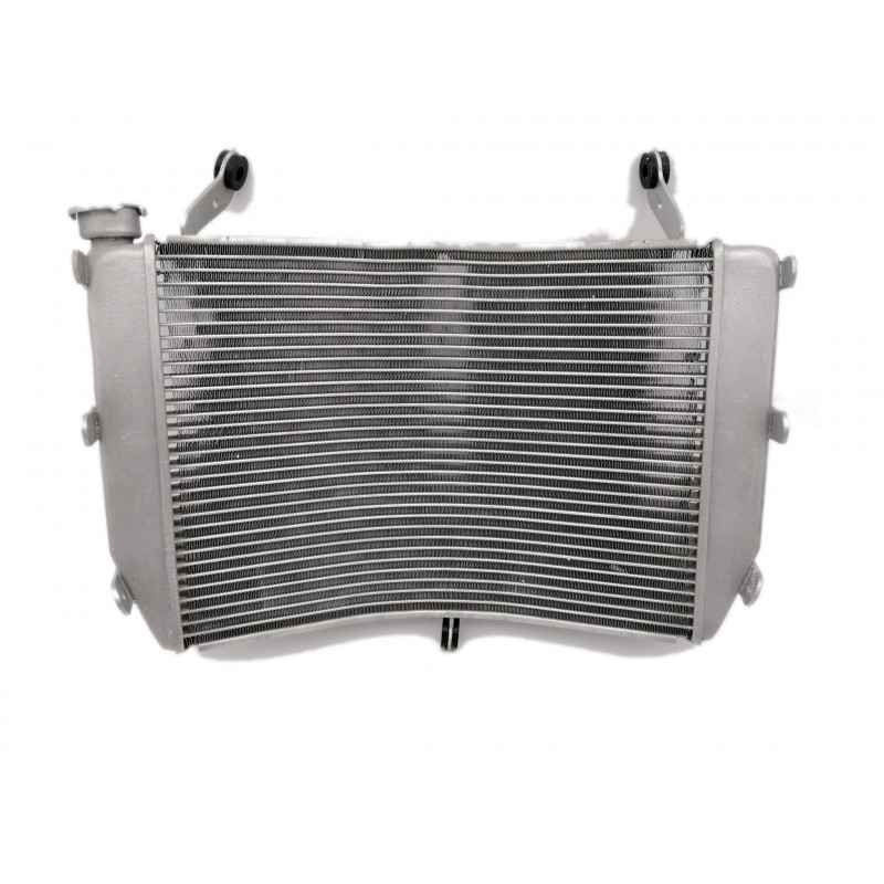 Radiateur d'eau Brazoline pour Suzuki 1000 GSXS 2015-2019