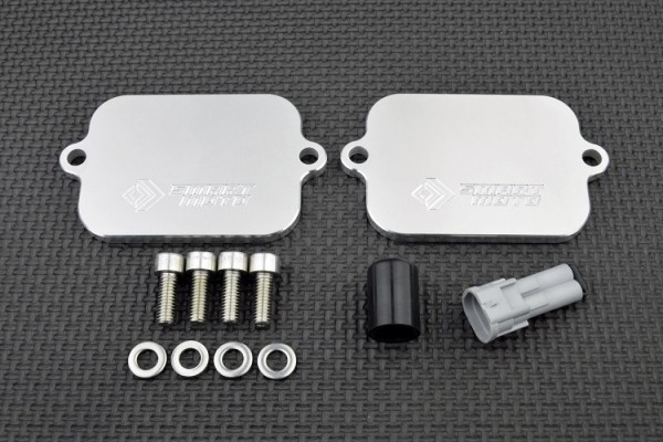 Plaque suppression antipollution valve AIS système pair ZX12R 2004-2006 SmartMoto (PLE-129)