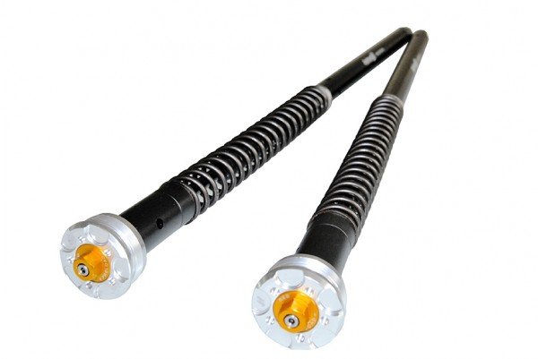 KIT CARTOUCHE FOURCHE ANDREANI EVOLUTION 2 KTM SUPER DUKE 1290 R 2014-2019 (305/KT13E)