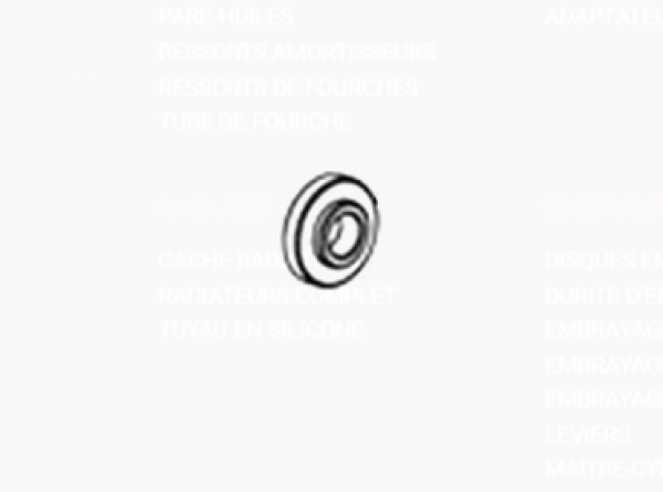 PIECE DETACHEE BONAMICI POUR A005R (BC_002)