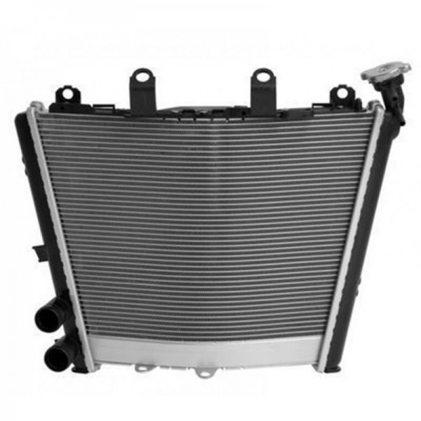 Radiateur d'eau Brazoline pour BMW S1000RR 2019-2022 (RA5060)