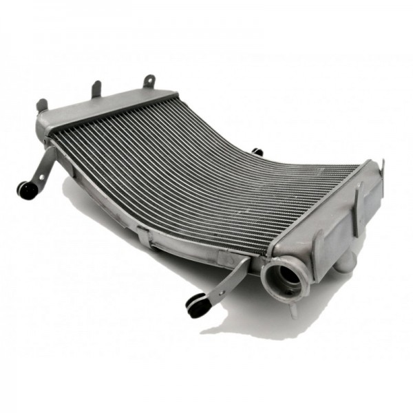 Radiateur d'eau Brazoline pour Suzuki 1000 GSXS 2015-2019