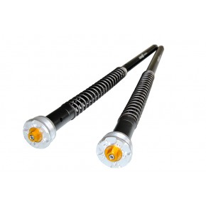 KIT CARTOUCHE ANDREANI EVO 2 APRILIA RSV4 1100 RR 2025-2026 (305/A18E)