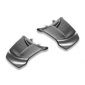 Ailerons latéraux en carbone brillant  Ducabike pour Panigale V4 MY25-26 (CRB226L)