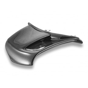 Ailerons latéraux en carbone brillant  Ducabike pour Panigale V4 MY25-26 (CRB226L)