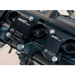Kit plaques de dépollution MELOTTI TRIUMPH 675 Street Triple 2007-2016, 675 Daytona 2008-2016
