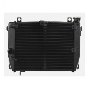 Radiateur d'eau Brazoline pour Aprilia RS660 21-24